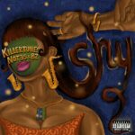 Killertunes – Shy ft. BZ & Not3s