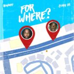 Bayanni ft. Zerrydl – For Where?