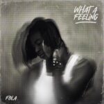 FOLA ft. Bella Shmurda – Who does that?