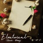 Niniola, Praiz – Electrical LYRICS