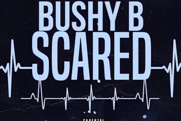 Bushy B – Scared (Sped Up) Mp3 Download