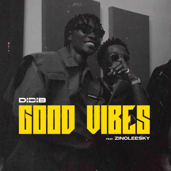 Didi B – Good Vibes ft. Zinoleesky