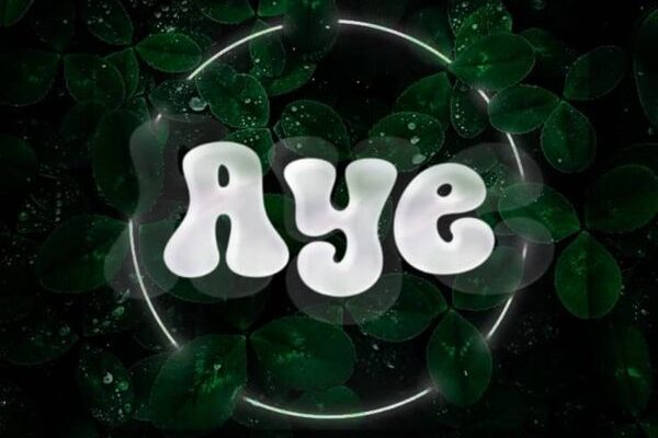 Professional Beat – Aye Mp3 Download