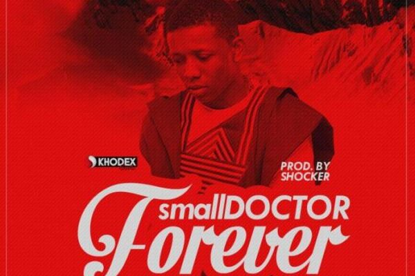 Small Doctor – Forever Download