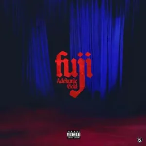 Artist Adekunle Gold