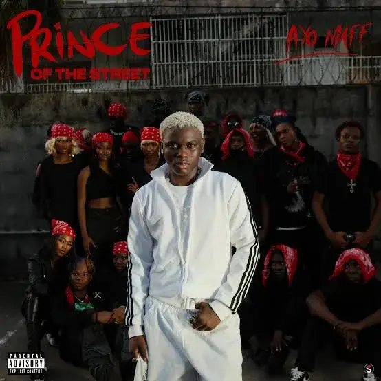 Cover of album 'Prince Of The Street'