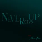 Cover for Never Give Up
