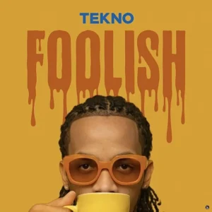 Artist Tekno